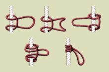 Ein Bild mit Knoten
